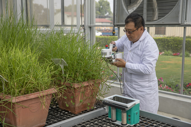 全台首座「三綠溫室」啟用  打造永續牧草產業 | 華視新聞