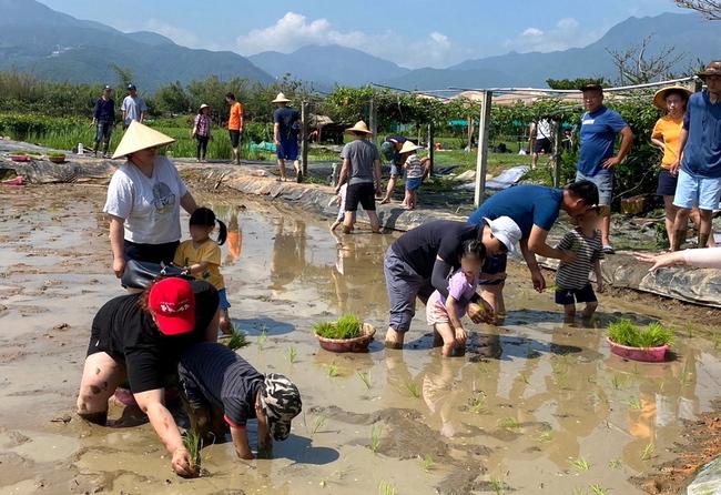 新北金美國小附幼插秧趣 教育局：最佳食農教育 | 華視新聞