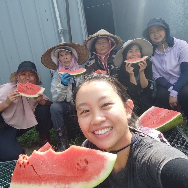 印尼青年赴台灣農場實習收穫多  返鄉分享讚值得 | 華視新聞