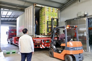 台南鳳梨前進新加坡 5.8公噸預購已賣出2/3