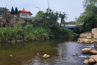 竹縣鳳山溪出現油污 環保局初判是家庭廢水