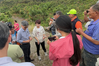台南龍眼與芒果花況不佳 陳亭妃邀陳駿季現勘
