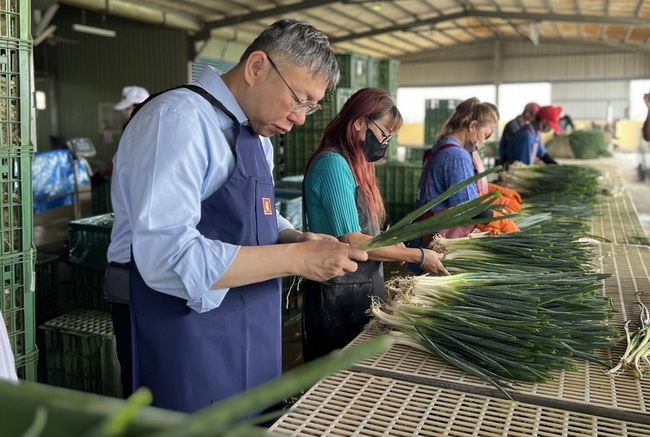 柯文哲麥寮體驗洗蔥  指應鬆綁農業外籍移工規定 | 華視新聞