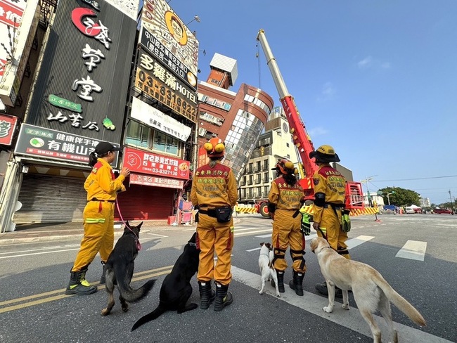 搜救犬成救災要角 需愛吃愛玩經得起山豬挑釁 | 華視新聞