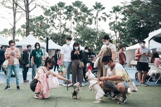 高市寵物嘉年華 試辦「不裝籠箱」購物遊程