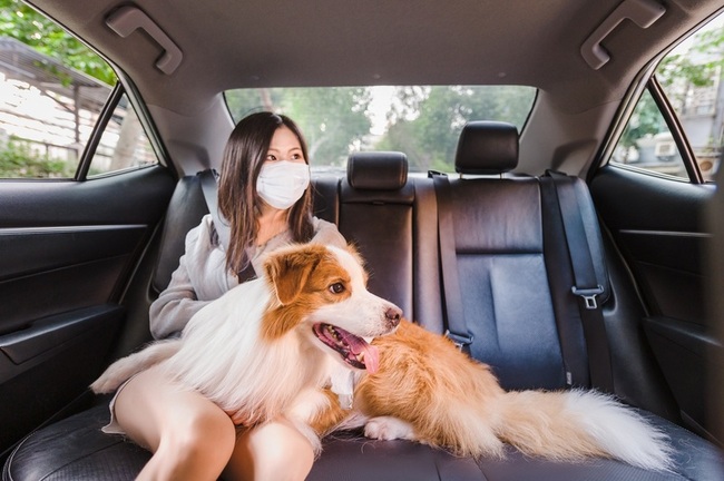 搭計程車毛小孩同行 調查：寵物乘車需求增6成 | 華視新聞