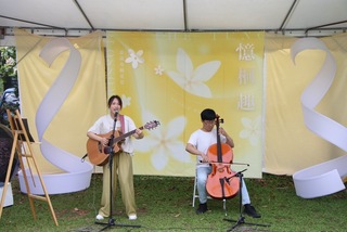 嘉市幸福山丘油桐花開  追「4月雪」遠眺美景