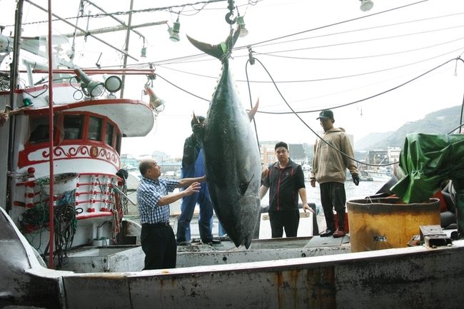 蘇澳漁船捕獲269公斤黑鮪魚 驗明正身全國第一鮪 | 華視新聞