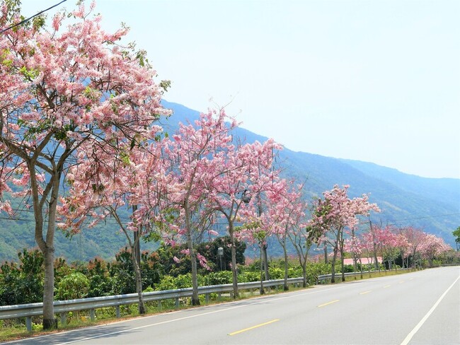 自行車路線認證活動至4月底 茂管處邀騎車、賞花 | 華視新聞