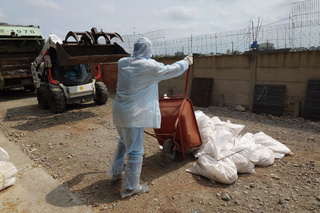 台南學甲土雞場確診禽流感 撲殺逾1.6萬隻