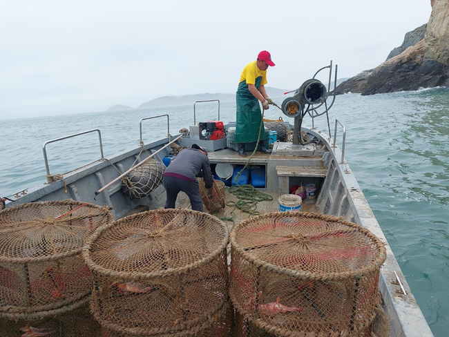 章魚籠破壞漁業資源  連江縣府清除3000公斤 | 華視新聞