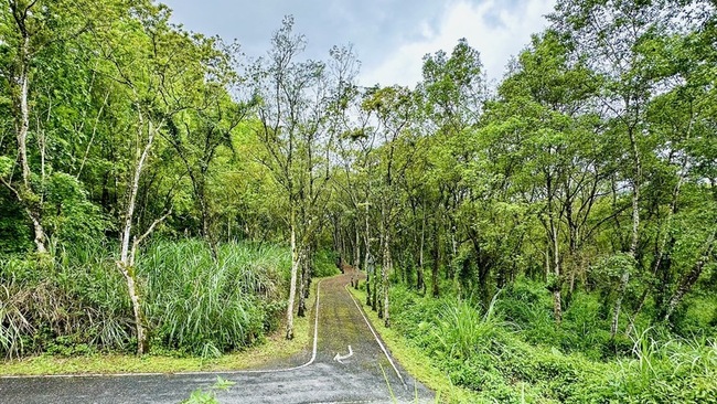 花蓮森林路跑因地震延期 6/30為愛重新起跑 | 華視新聞