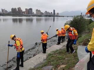 淡水河飄大量魚屍 北市環保局研判溶氧量低導致