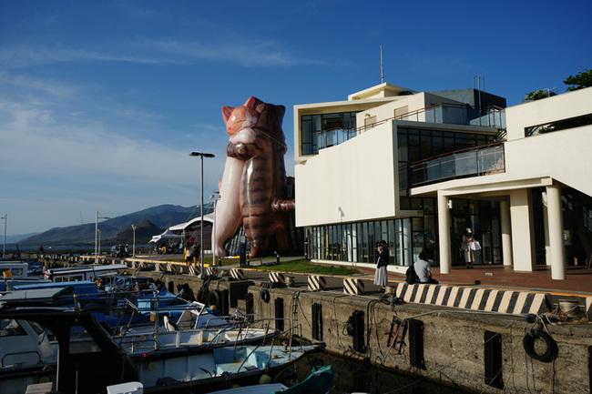 屏東看海美術館有喵 14公尺高充氣擁抱貓咪登台 | 華視新聞