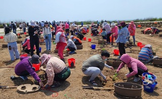 從陸上植樹到海底 打造澎湖美麗海洋生態公園