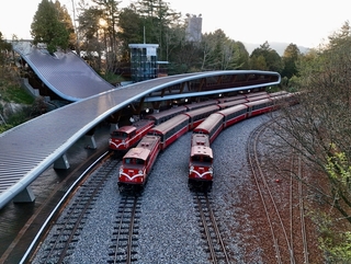 阿里山林鐵7/1全線通車  森林療癒飽覽文史生態