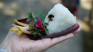 帶著愛情飯糰上路 客家悅讀節走讀美濃「理和小徑」