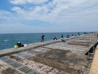 海洋盃友善釣魚賽台中登場 管碧玲：全台有156釣點