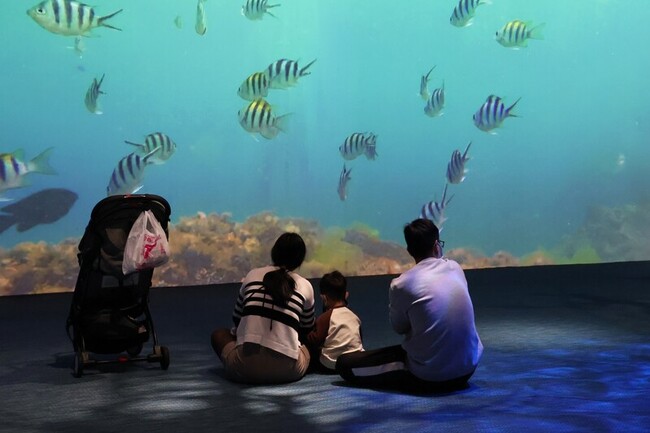 科博館攜手海委會 中台灣海洋保育教育中心7月揭牌 | 華視新聞