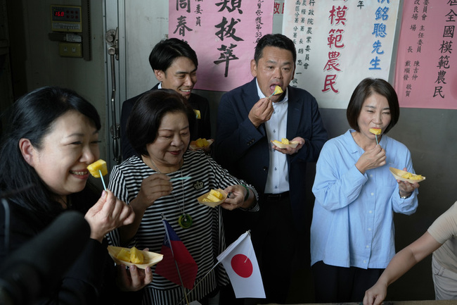 屏東鳳梨穩定外銷日本BELX超市 113年估出口180公噸 | 華視新聞