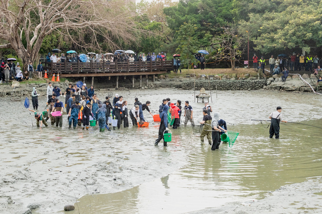 中興湖撈出外來種震驚日本人  學者籲勿任意野放 | 華視新聞