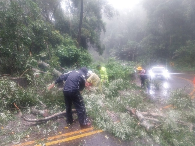 苑裡鎮苗130線路樹傾倒阻通行 警民合力排除 | 華視新聞