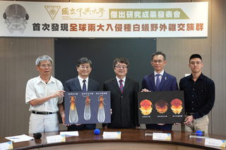 興大研究台灣家白蟻與入侵種白蟻 台中發現雜交族群