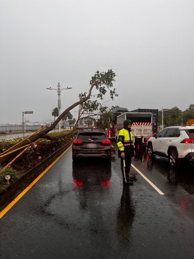 高雄大雨路樹倒塌又一件 自小客車等紅燈被砸 | 華視新聞