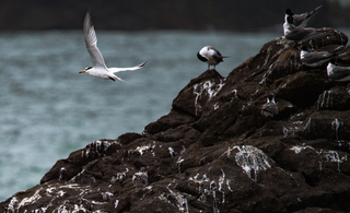 不只1人 疑2名中國漁民登上高登附近無人島礁