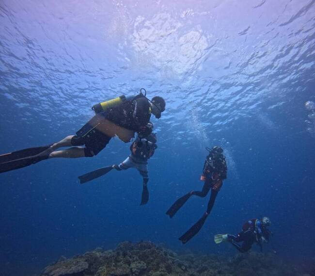 保育珊瑚墾丁海下大掃除 113名潛水員清30公斤垃圾 | 華視新聞