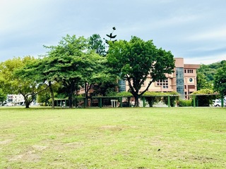 清大、交大左營擬設分校 專家學者：城市轉型契機