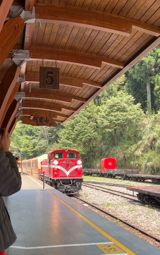 阿里山林鐵暌違9年試運轉成功 擬7/1全線通車