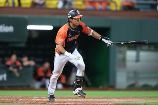 獅隊猛灌17分擊潰雄鷹  吳明鴻遭頭部觸身球倒地