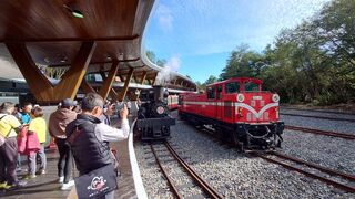 阿里山林鐵處募集寫真 製作國民記憶沉浸式影片