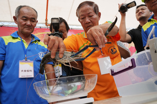 泰國蝦養殖歹年冬 潮州賽神蝦活動拉抬買氣