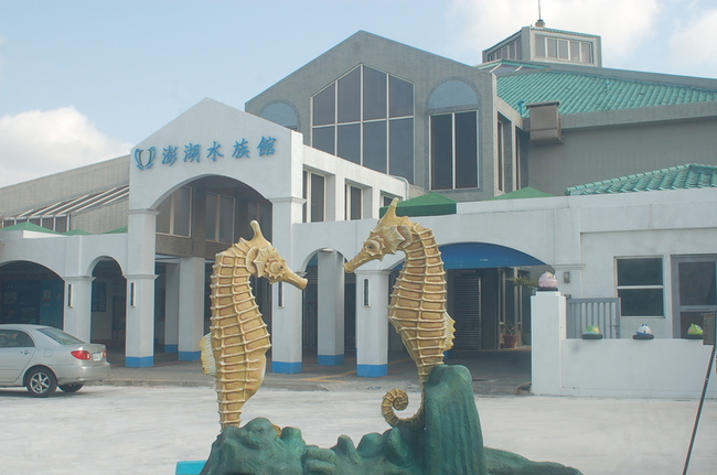 澎湖水族館遭雷電擊中 機電設備受損被迫休館 | 華視新聞