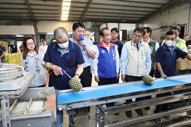 台南首批鳳梨1.25噸銷紐西蘭 黃偉哲視察確保品質 | 華視新聞