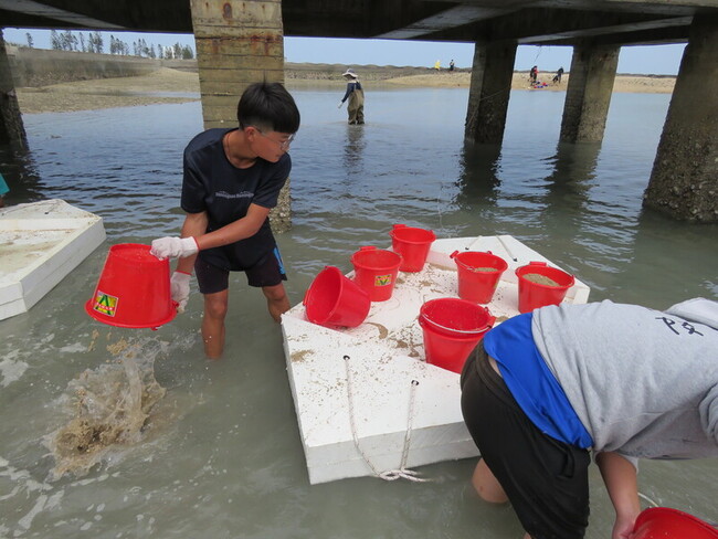 建置復育種原庫 澎湖白沙閒置魚塭移植5000株海草 | 華視新聞