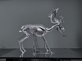 卡夫卡逝世百年 故鄉布拉格辦展「數位雄鹿」吸睛