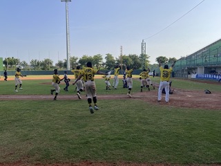 TOTO盃少棒賽新北市奪冠 獲小馬亞太區參賽權