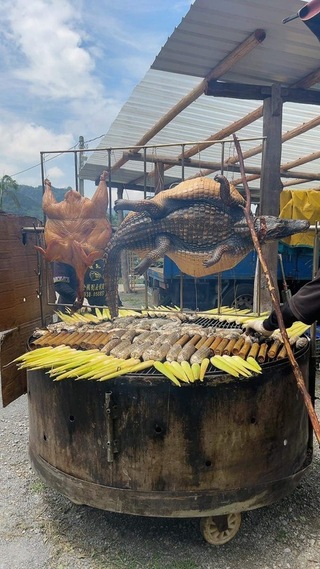 不烤全豬烤全鱷 作家陳俞嘉霸氣答謝嘉縣鄒族部落