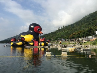 花蓮震後觀光 議員不滿欠新意促改變