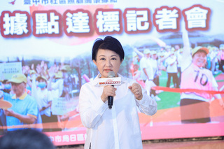 盧秀燕：民眾關心新政府能否提供足夠穩定的電