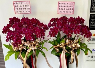 總統就職典禮 侯友宜送花籃祝賀盼中央地方合作