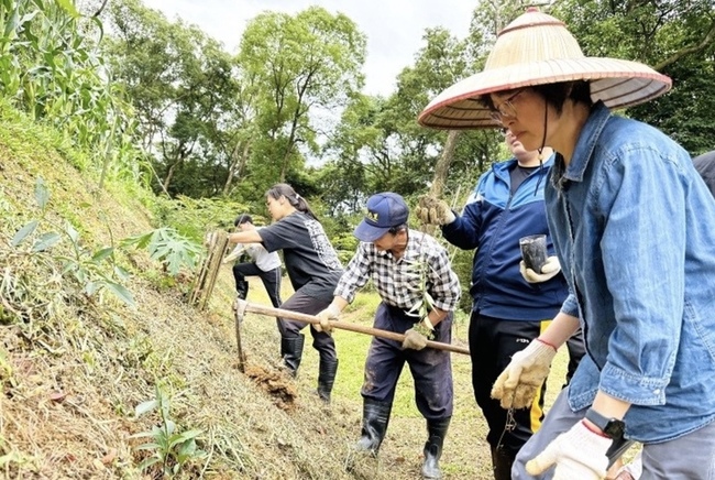 棄耕茶園再生  中華大學師生新植養護逾600棵樹 | 華視新聞
