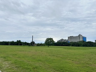 公墓變身佐倉運動公園 花蓮市公所爭取興建足球場