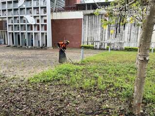 苗栗豐富站眼鏡蛇出沒 台鐵加強站區除草