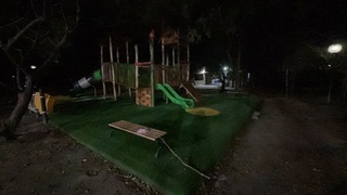 半數公園照明不足有安全疑慮 嘉市府：1個月內改善