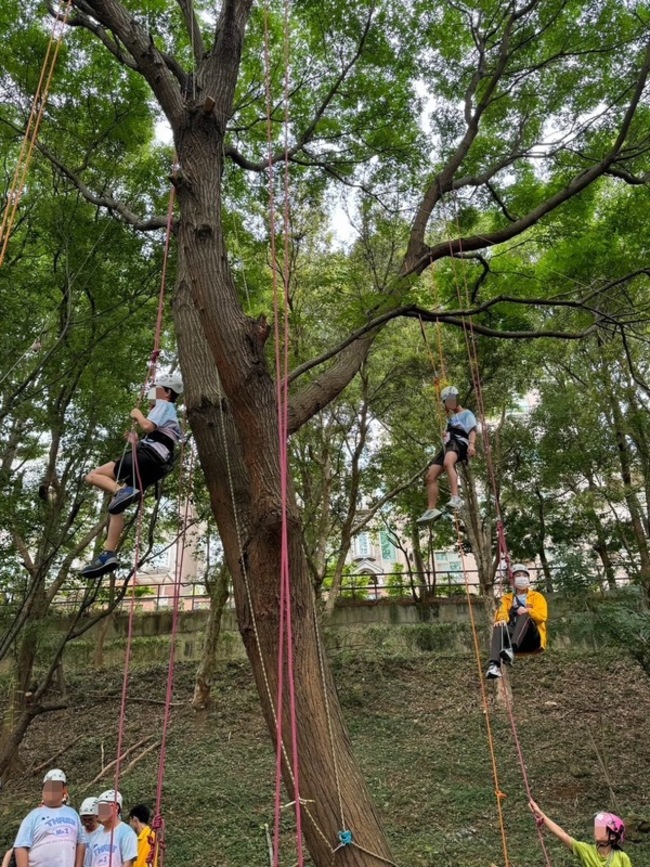 竹市新科國中攀樹畢業季 學生合作完成必修課 | 華視新聞