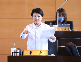 中捷維安盧秀燕稱國安議題  綠議員批甩鍋中央